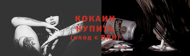 индика Алзамай