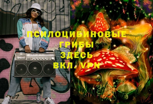 индика Алзамай