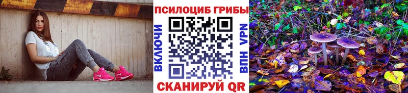 Псилоцибиновые грибы Cubensis  как найти   MEGA как зайти  Сураж 